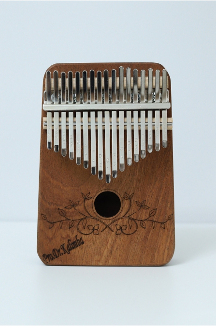 17 Tuşlu Profesyonel Kalimba Full Set 150 Şarkı Notası